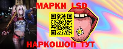 apvp Бердск