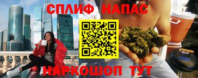apvp Бердск