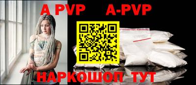 apvp Бердск