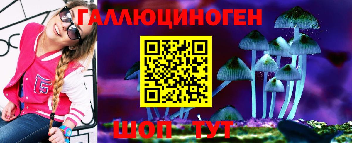 Галлюциногенные грибы GOLDEN TEACHER Красноуфимск