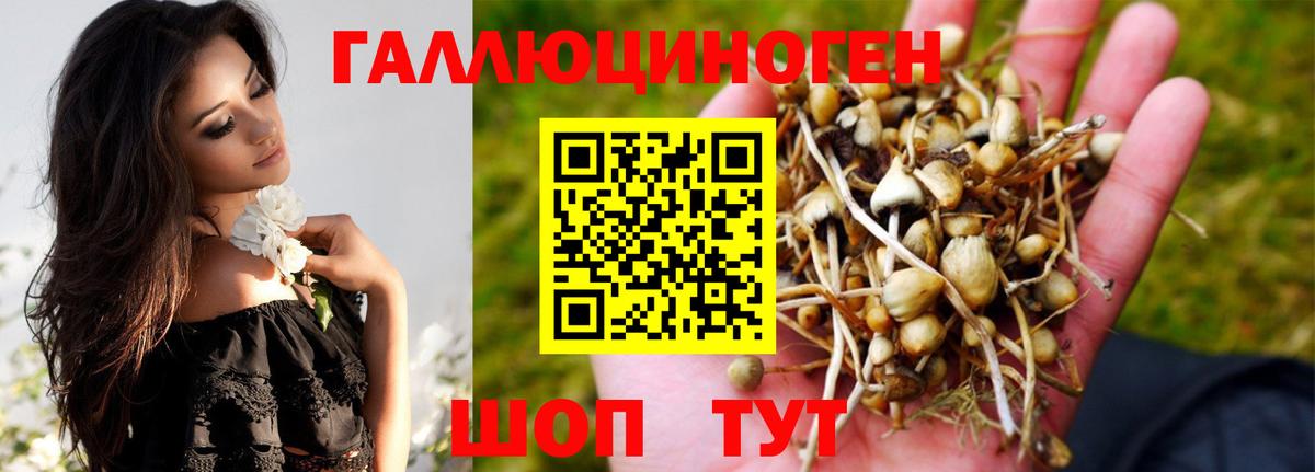 Галлюциногенные грибы Magic Shrooms  Вход с VPN  Красноуфимск 